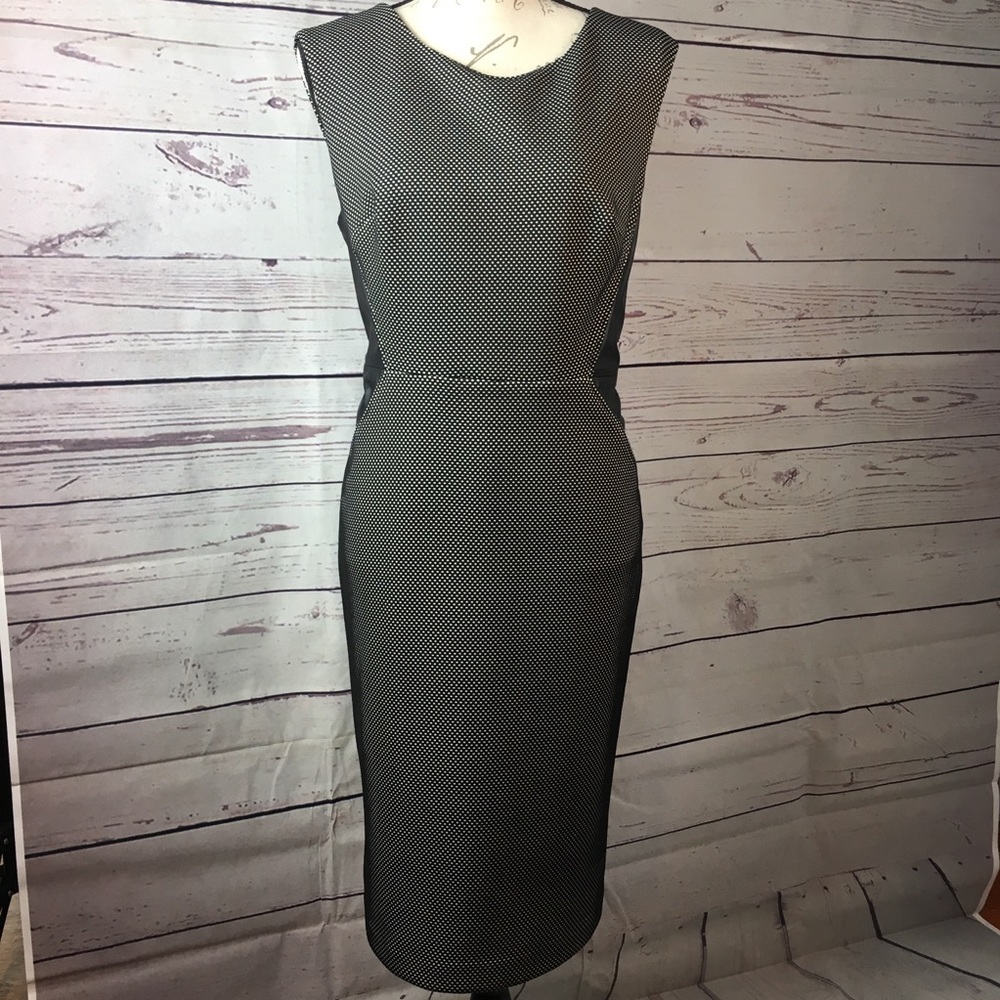 Jones New York Black & White Dress Modern Work 10